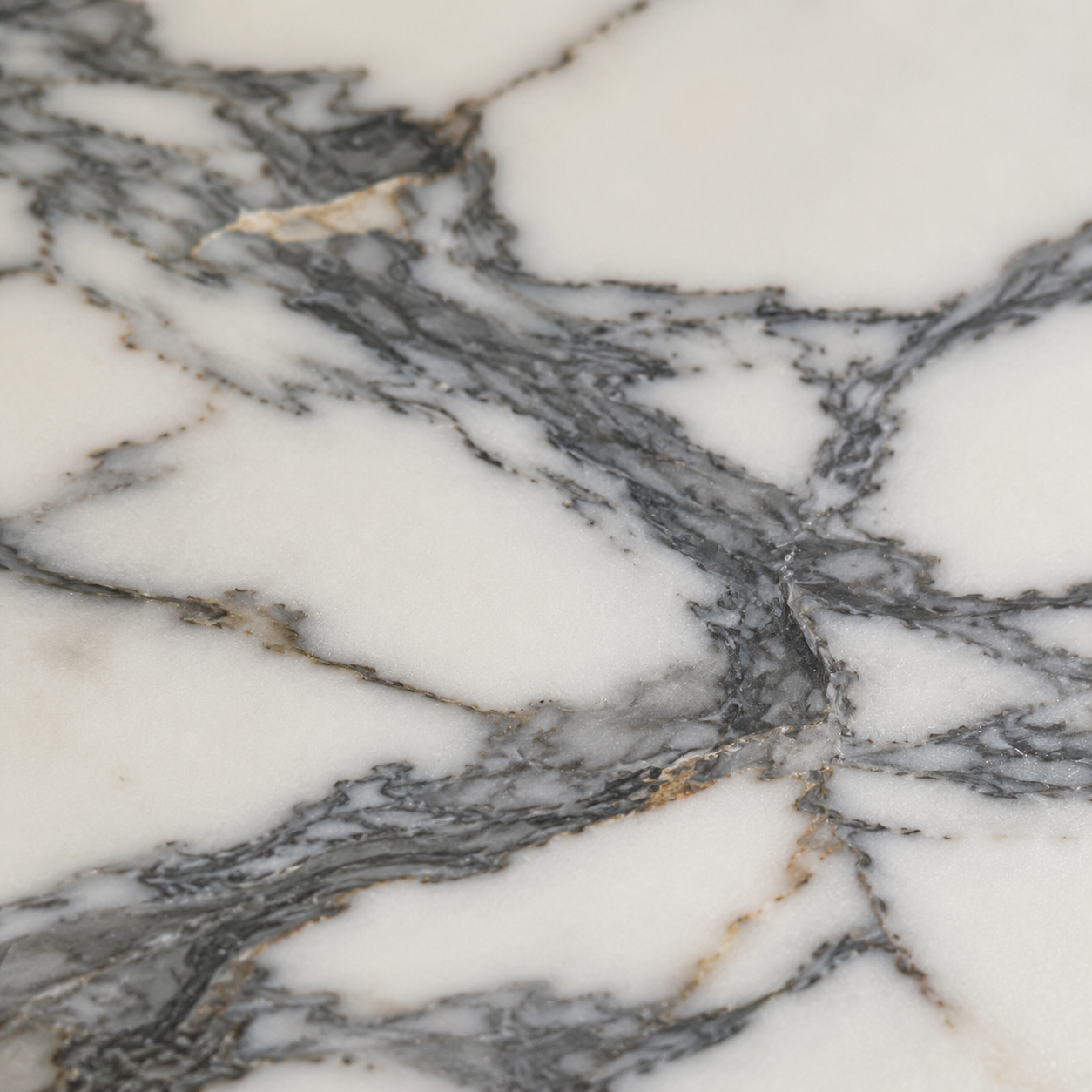 Arabescato Marble Tray
